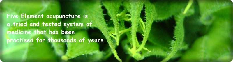 5 Element Acupuncture Dublin - Acupuncture Information