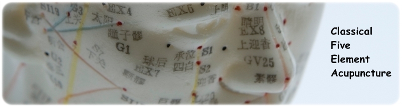 5 Element Acupuncture Dublin - Classical Five-Element Acupuncture