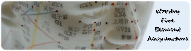 5 Element Acupuncture Dublin - Classical Five-Element Acupuncture